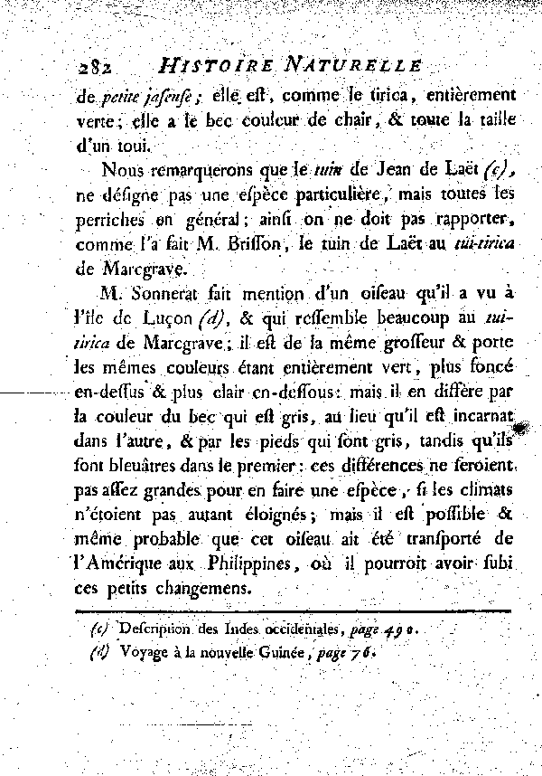 Le Tirica. de Toui ou Perriche à queue courte.