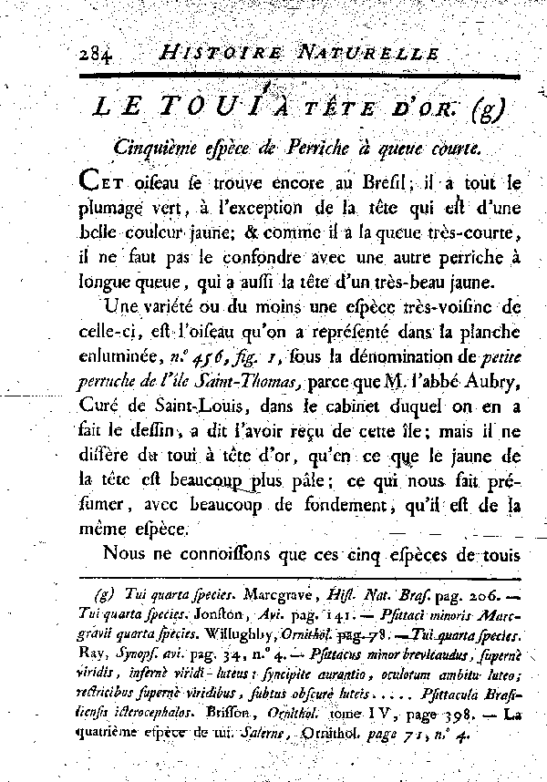 Le Toui à tête d'or. de Perriche à queue courte.