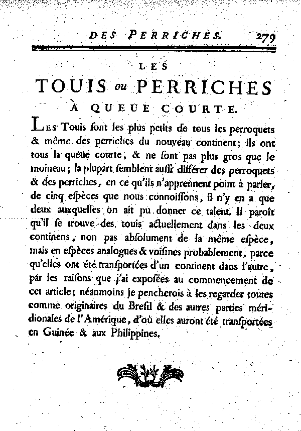 LES TOUIS ou PERRICHES à queue courte.