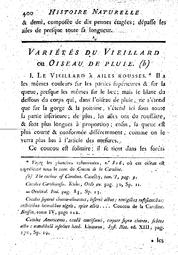 Variété du Vieillard ou Oiseau de pluie.