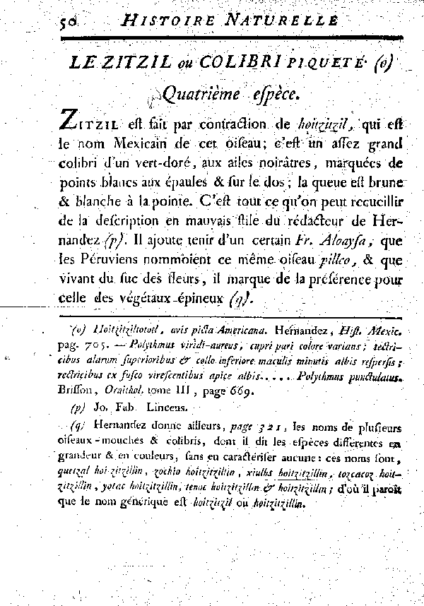 Le Zitzil ou Colibri piqueté.