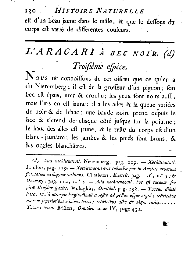 L'Aracari à bec noir.