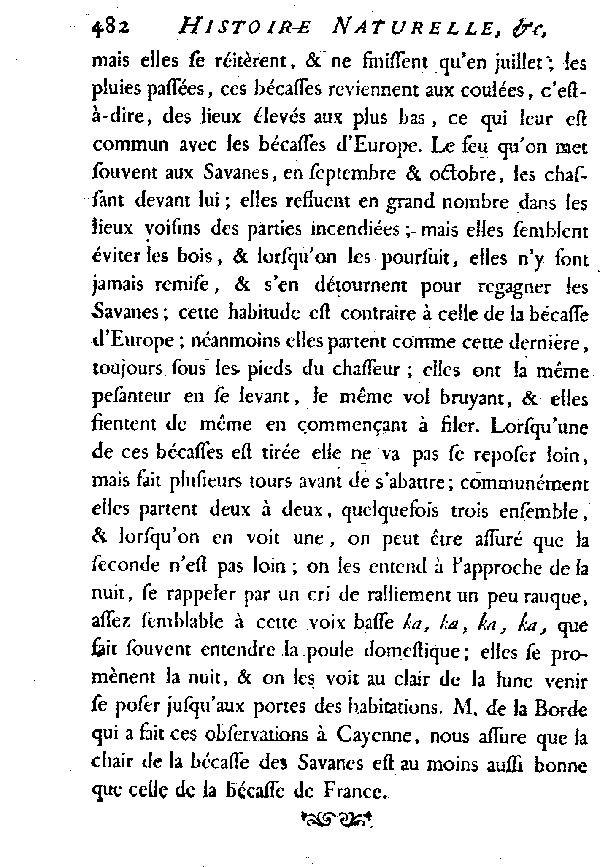 Le Bécasse des savannes.