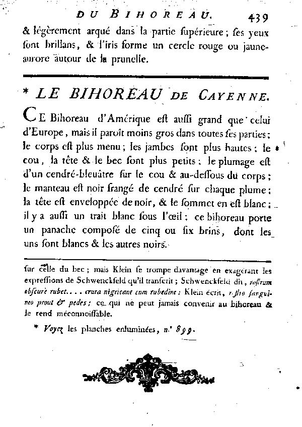 Le Bihoreau de Cayenne.