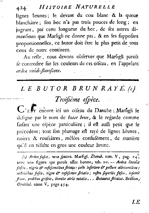 Le Butor brun rayé.