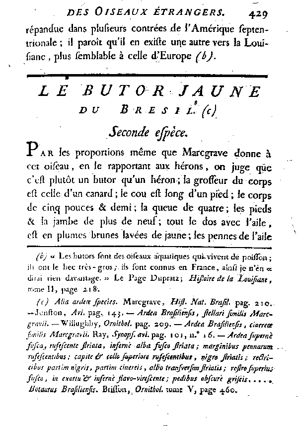 Le Butor jaune du Bresil.