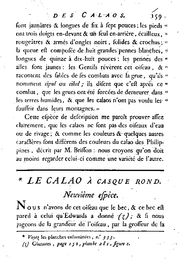 Le Calao à casque rond.