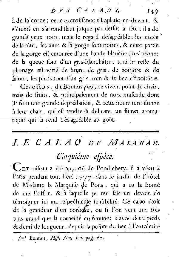 Le Calao de Malabar.