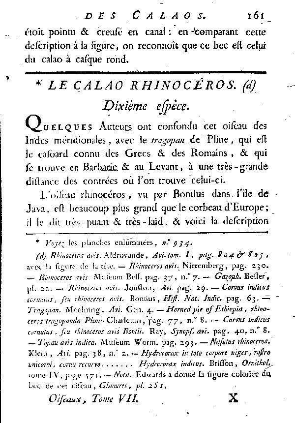 Le Calao rhinocéros.