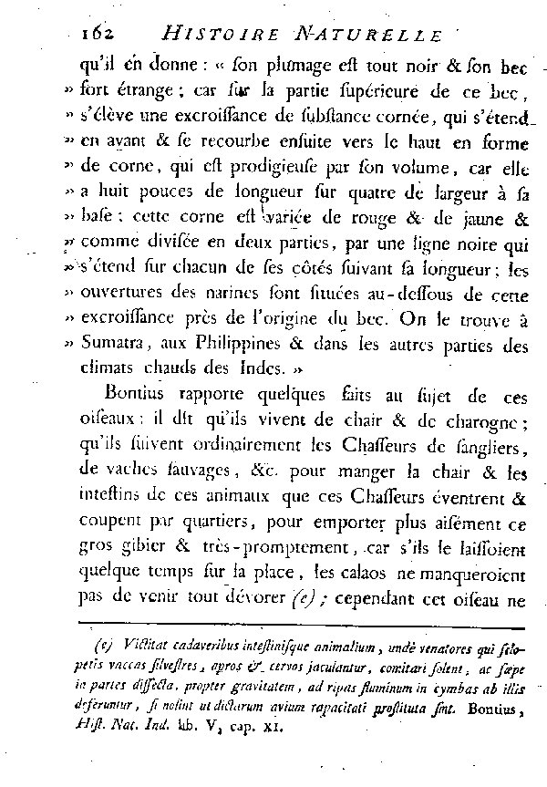 Le Calao rhinocéros.