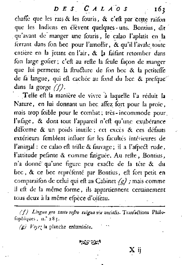 Le Calao rhinocéros.