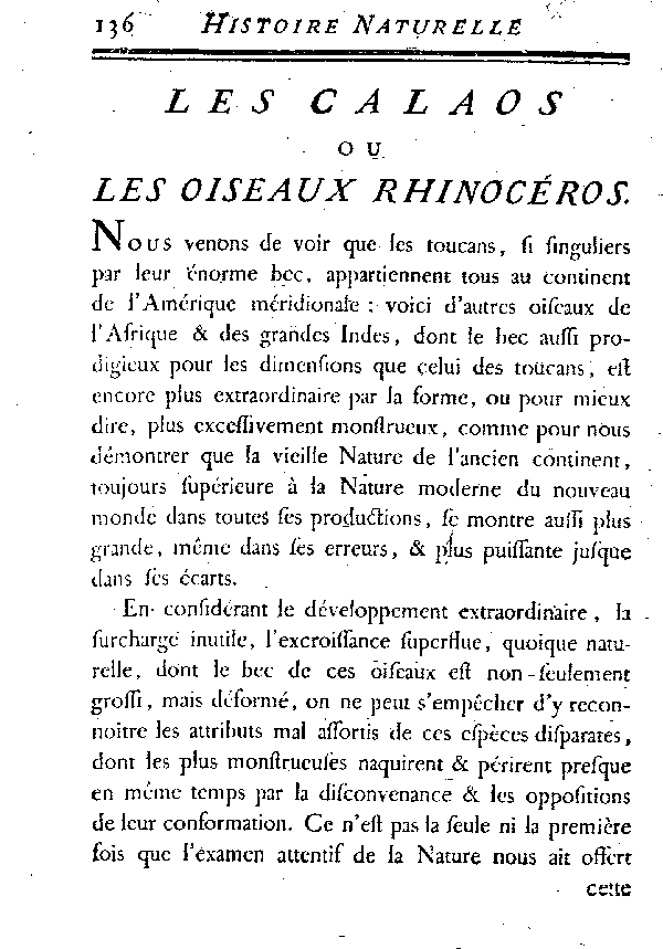 LES CALAOS ou LES OISEAUX RHINOCEROS.