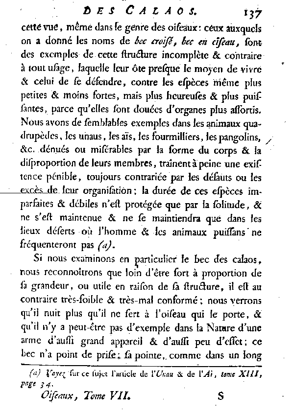 LES CALAOS ou LES OISEAUX RHINOCEROS.