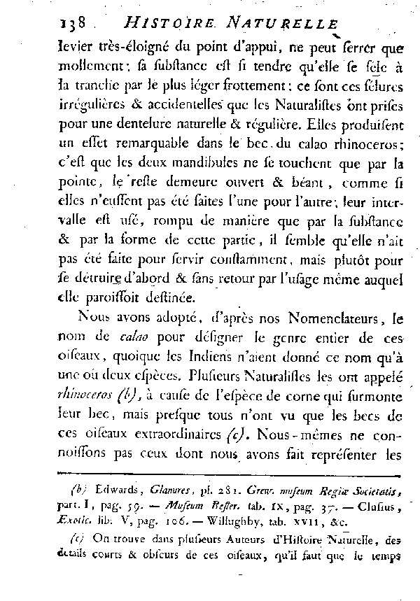 LES CALAOS ou LES OISEAUX RHINOCEROS.