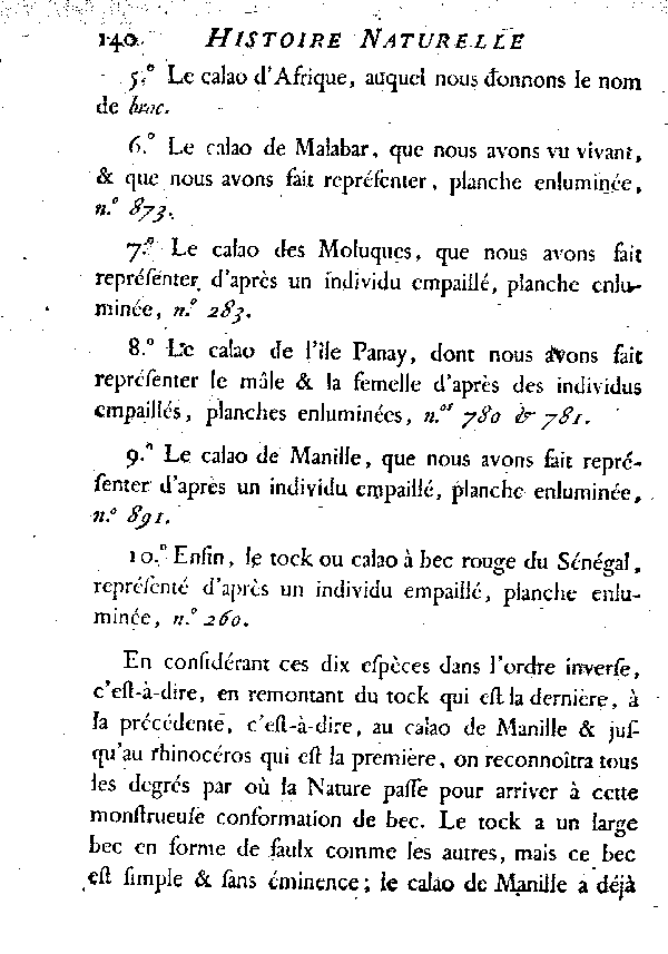 LES CALAOS ou LES OISEAUX RHINOCEROS.