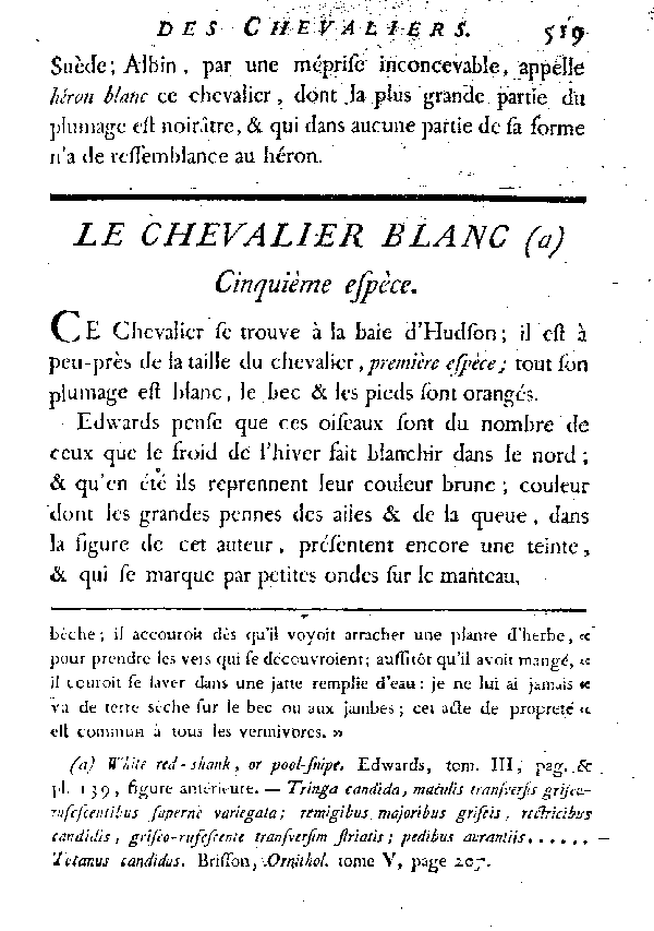 Le Chevalier blanc.