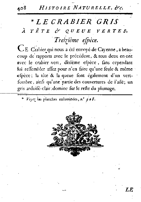 Le Crabier gris à tête et queue vertes.