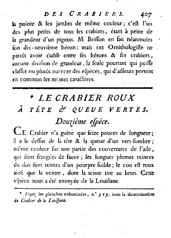 Le Crabier roux à tête et queue vertes.