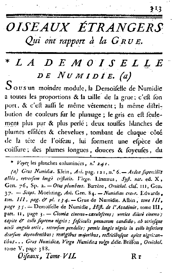 La Demoiselle de Numidie.