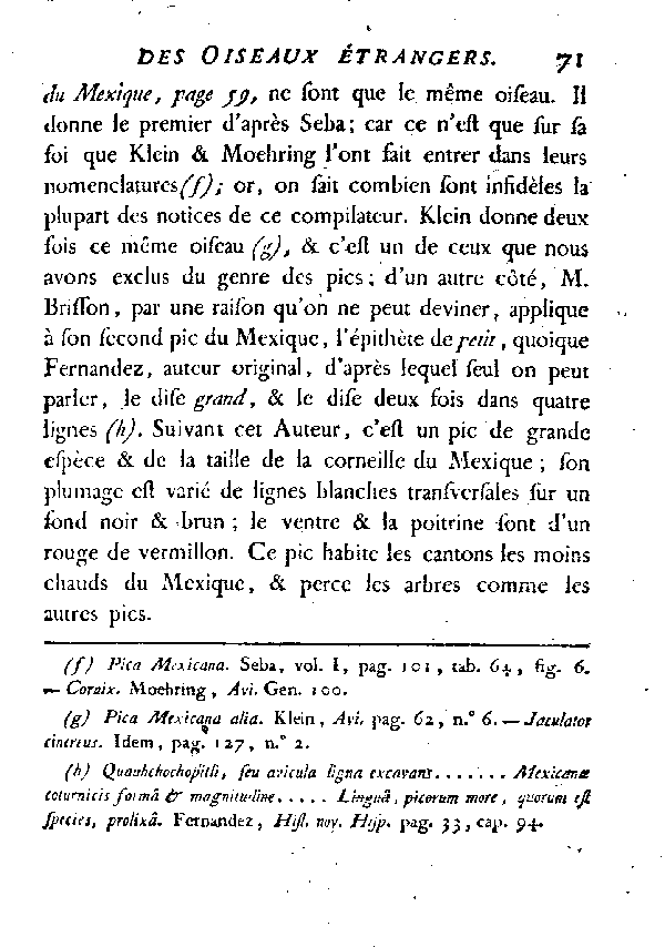 L'épeiche du Mexique.