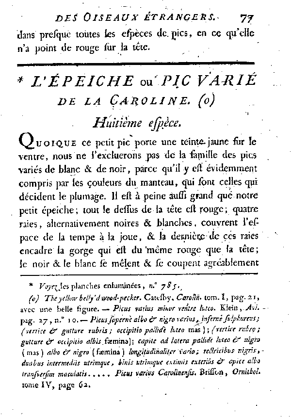 L'épeiche ou Pic varié de la Caroline.