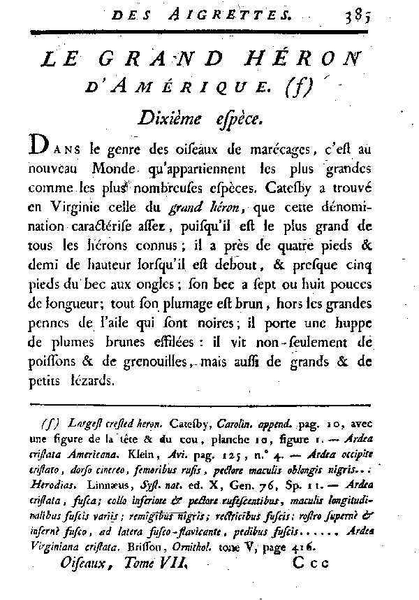 Le grand Héron d'Amérique.