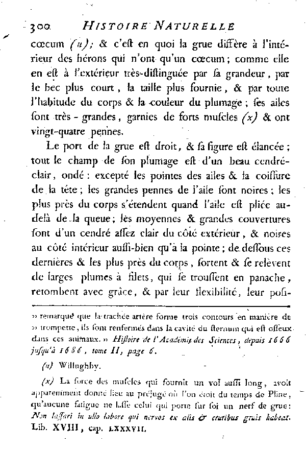 LA GRUE.