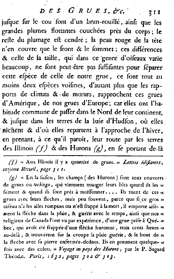 La Grue brune.