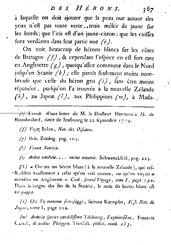 Le Héron blanc.