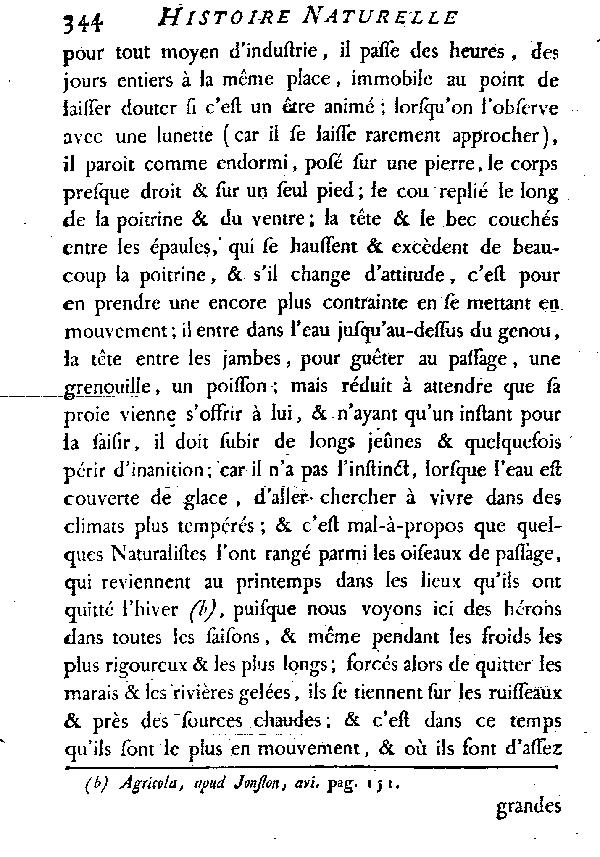 Le Héron commun.