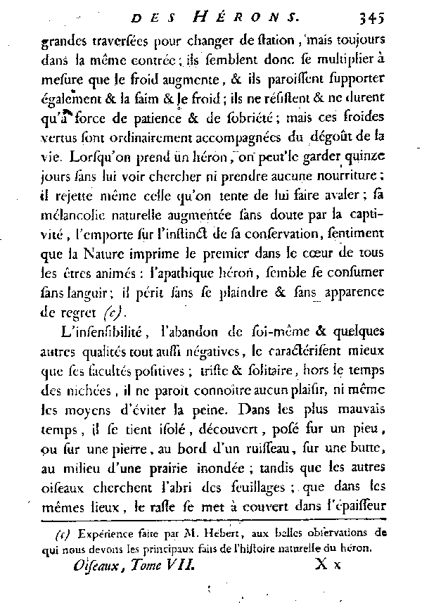 Le Héron commun.