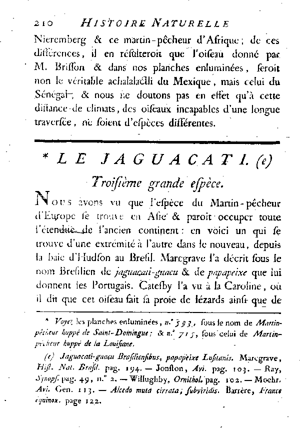 Le Jaguacati.
