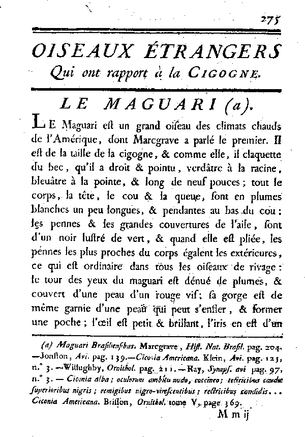 Le Maguari.