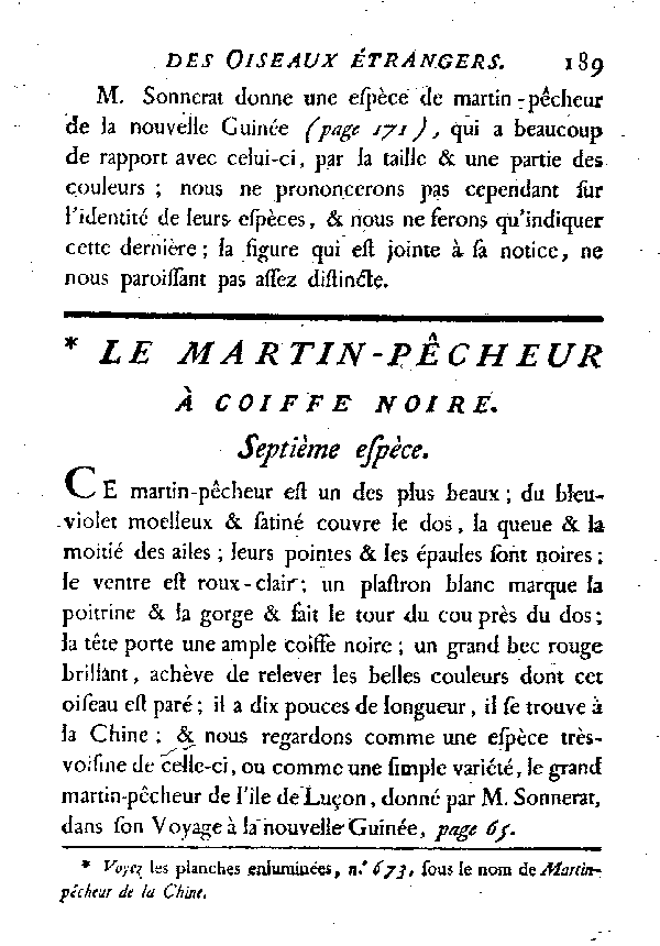 Le Martin-pêcheur à coiffe noire.