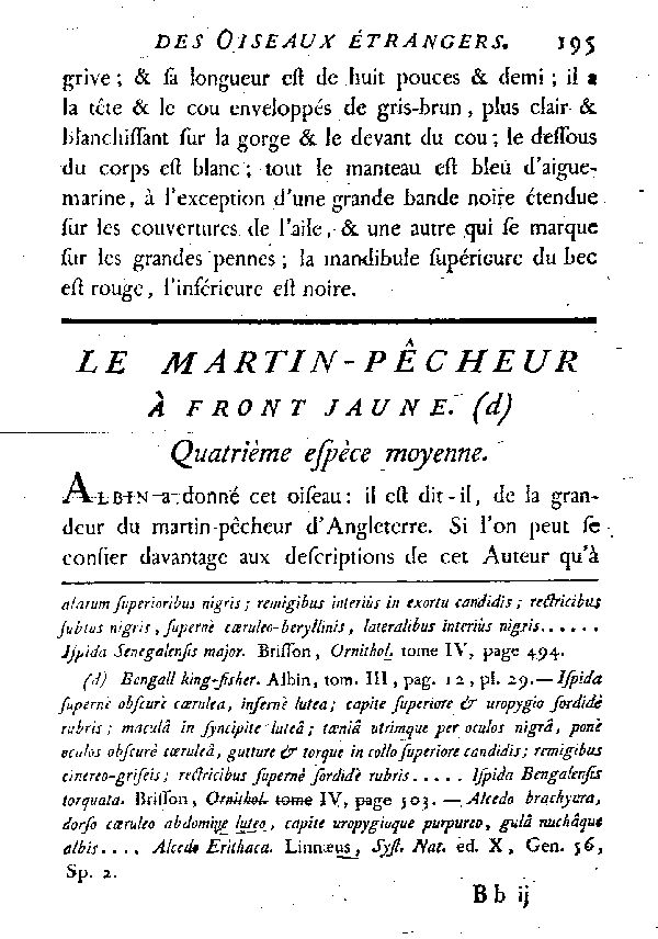 Le Martin - pêcheur à front jaune.