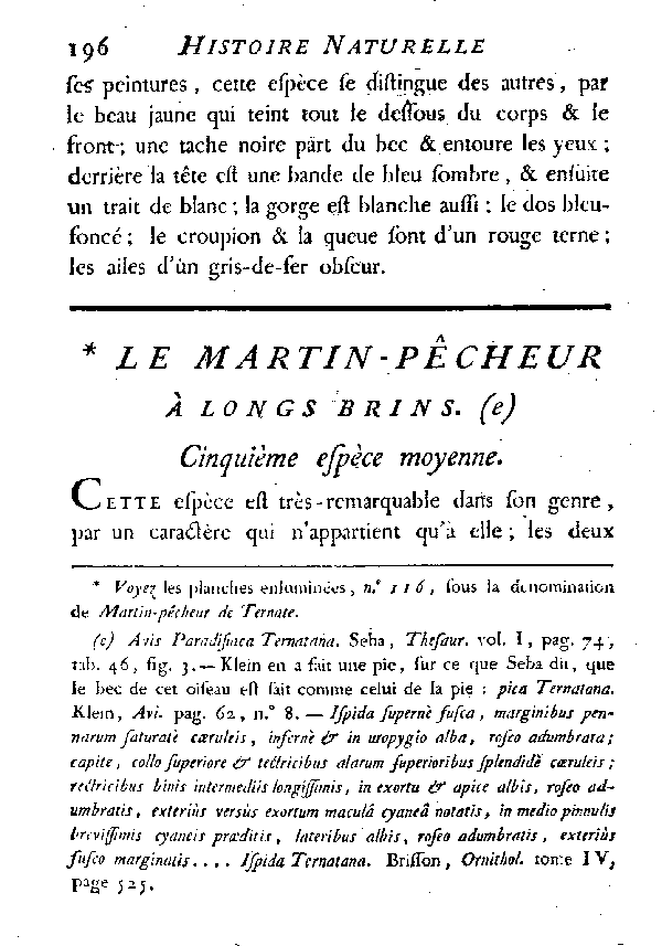 Le Martin - pêcheur à longs brins.