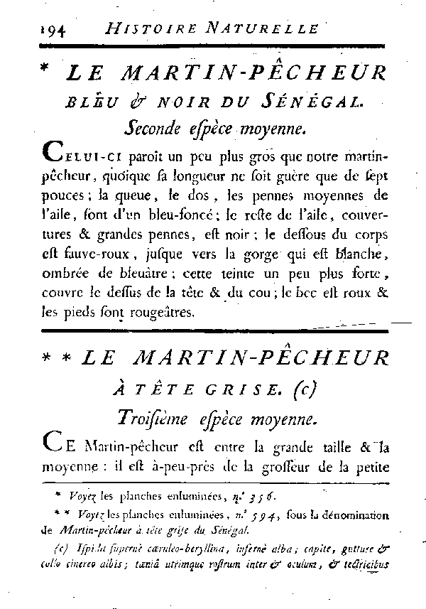 Le Martin - pêcheur à tête grise.