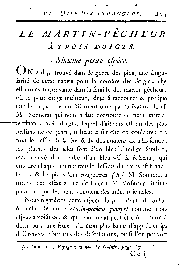 Le Martin - pêcheur à trois doigts.