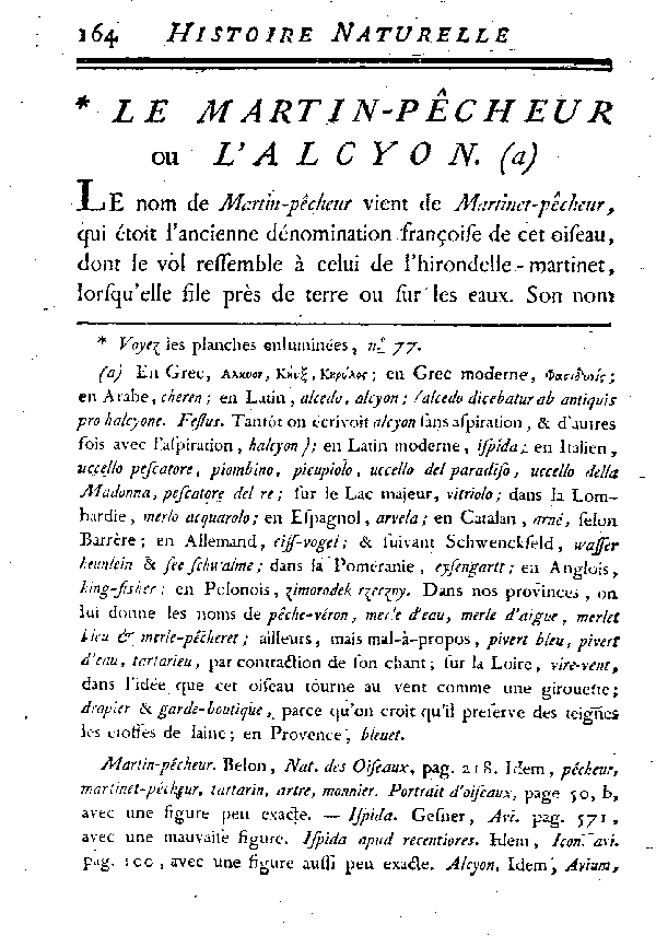 LE MARTIN-PêCHEUR ou L'ALCYON.