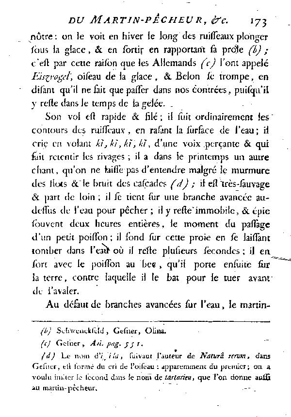 LE MARTIN-PêCHEUR ou L'ALCYON.