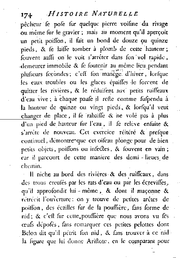 LE MARTIN-PêCHEUR ou L'ALCYON.