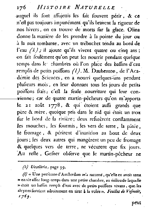 LE MARTIN-PêCHEUR ou L'ALCYON.