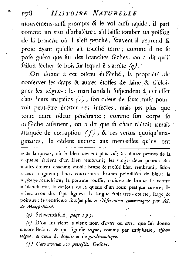 LE MARTIN-PêCHEUR ou L'ALCYON.