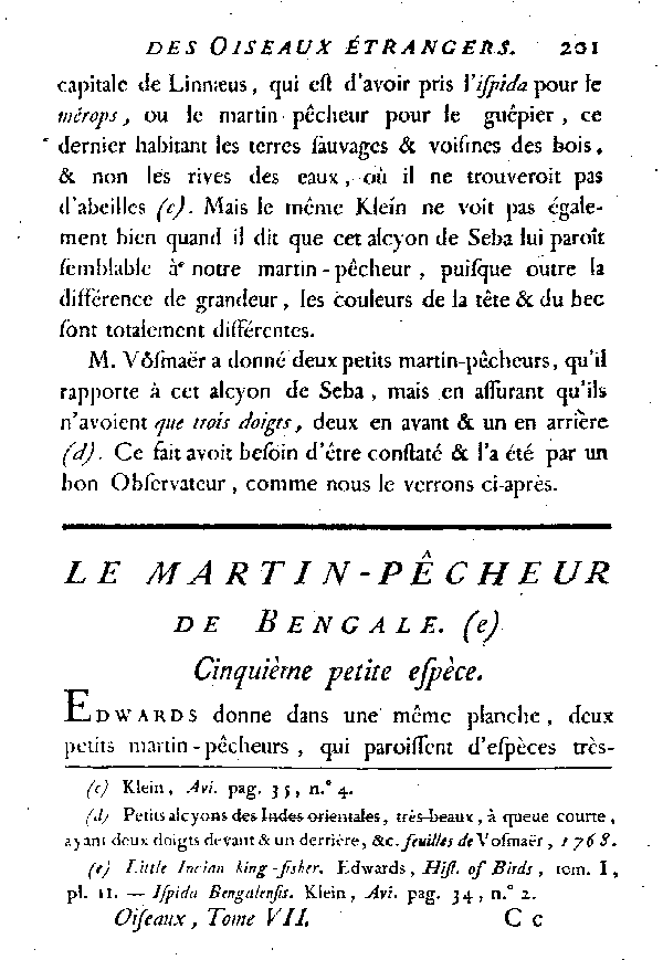 Le Martin - pêcheur de Bengale.