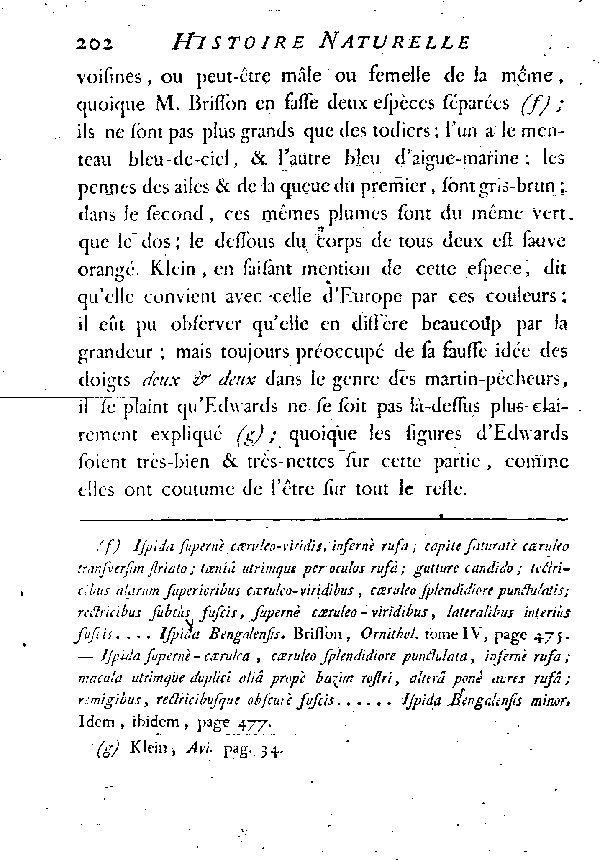 Le Martin - pêcheur de Bengale.