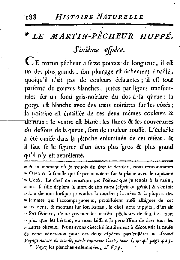 Le Martin-pêcheur huppé.