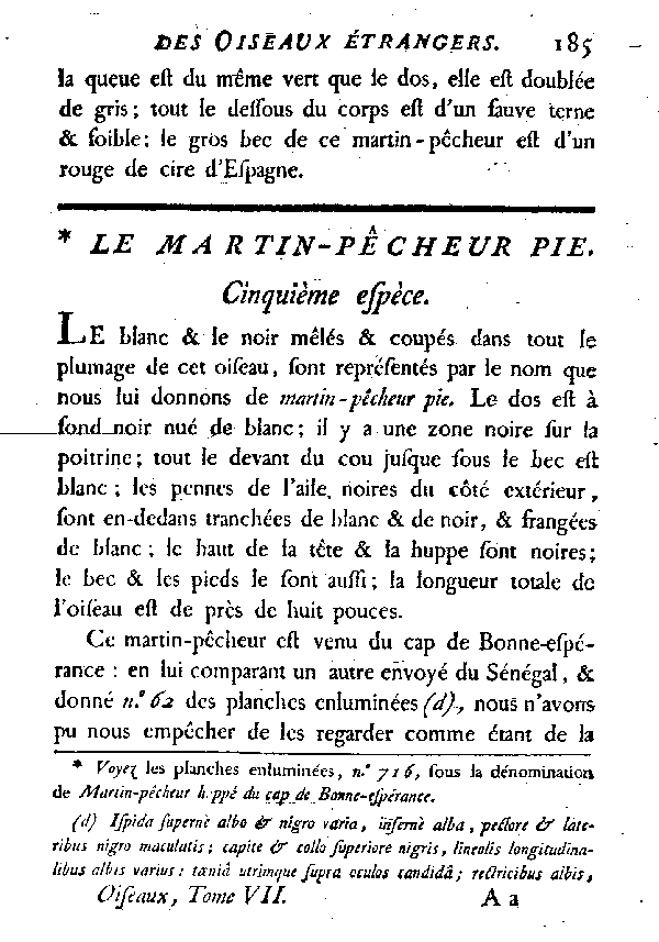 Le Martin-pêcheur pie.