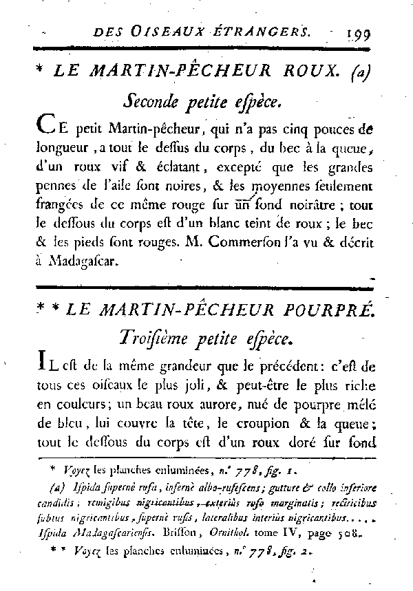 Le Martin - pêcheur pourpré.