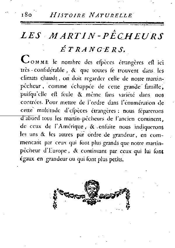 LES MARTIN-PêCHEURS éTRANGERS.