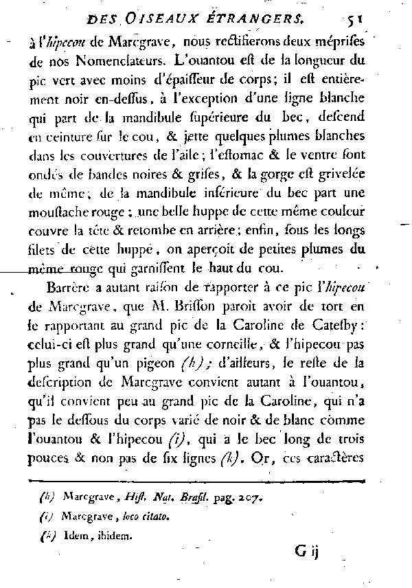 L'Ouantou ou Pic noir huppé de Cayenne.